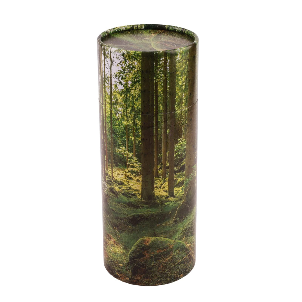 NEWDREAMThe Biodegradable Urns for Human Ashes is Designed to Scatter The Cremated Ashes of Your Loved One in Your Favorite Scattering Tubes Human Ashes(L5Wx12H)