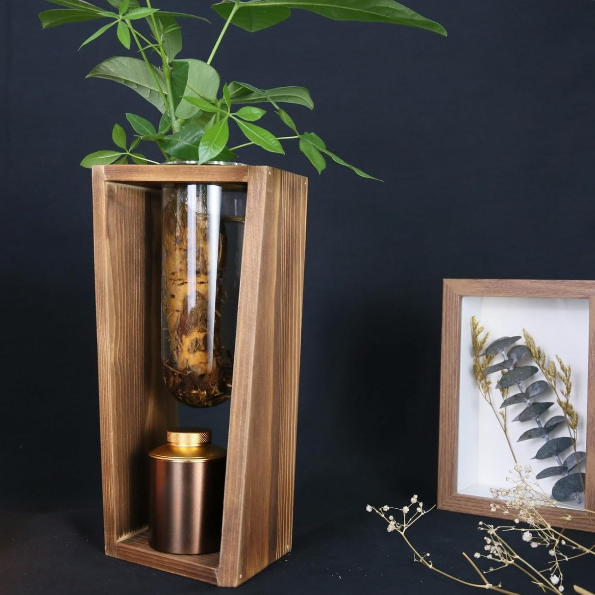 Plant Urn with Hydroponics Glass Vase, Small Urns for Human Ashes Keepsake, Memorial Keepsake Urn for Human Ashes, Mini Urns Small Urn for Ashes, Wooden Desk Decor