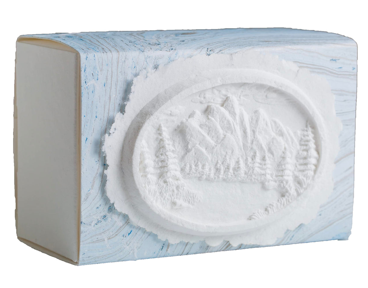 Favorite Place Biodegradable Shell Urn (Large), Eco-Friendly for Cremation or Water Burial (Metallic White K-103)