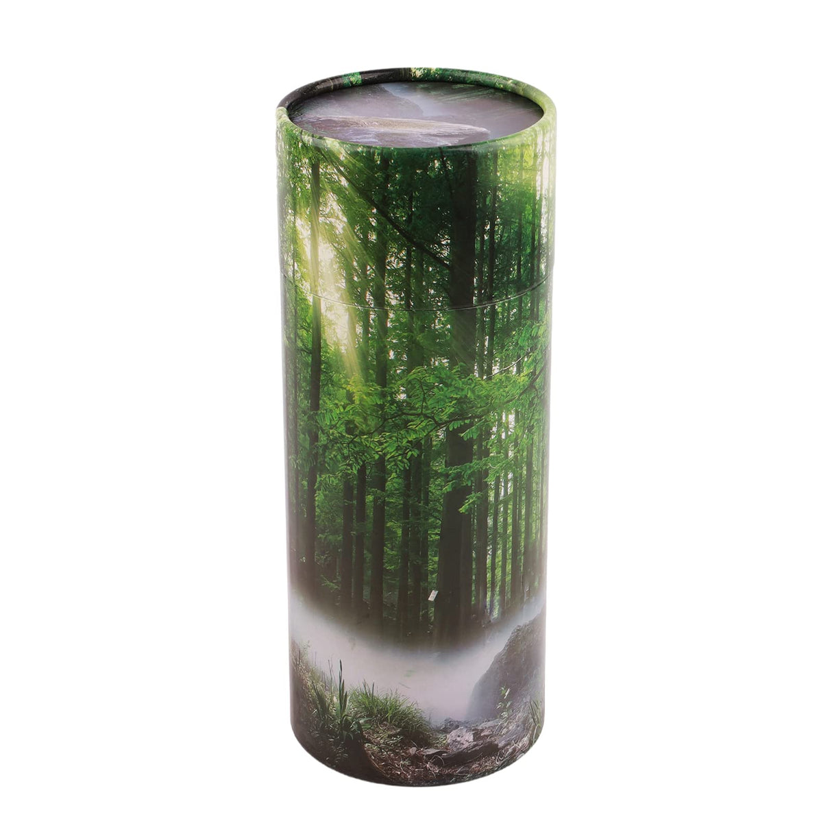 NEWDREAMThe Biodegradable Urns for Human Ashes is Designed to Scatter The Cremated Ashes of Your Loved One in Your Favorite Scattering Tubes Human Ashes(L5Wx12H)