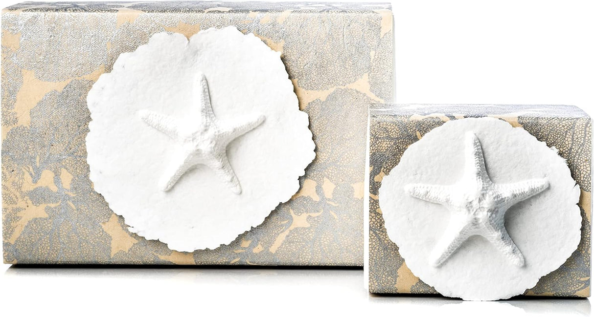 The Favorite Place Biodegradable Urn for Human Ashes, Small Starfish Urn Box with Silver Coral
