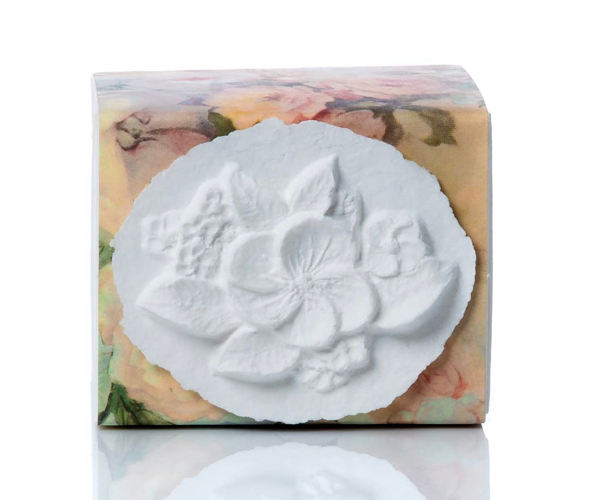 Favorite Place Biodegradable Shell Urn (Large), Eco-Friendly for Cremation or Water Burial (Metallic White K-103)