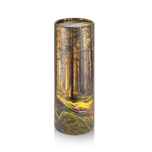 NEWDREAMThe Biodegradable Urns for Human Ashes is Designed to Scatter The Cremated Ashes of Your Loved One in Your Favorite Scattering Tubes Human Ashes(L5Wx12H)