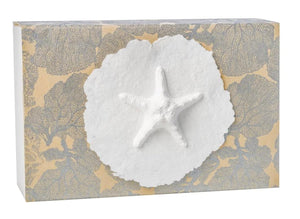 Favorite Place Biodegradable Shell Urn (Large), Eco-Friendly for Cremation or Water Burial (Metallic White K-103)