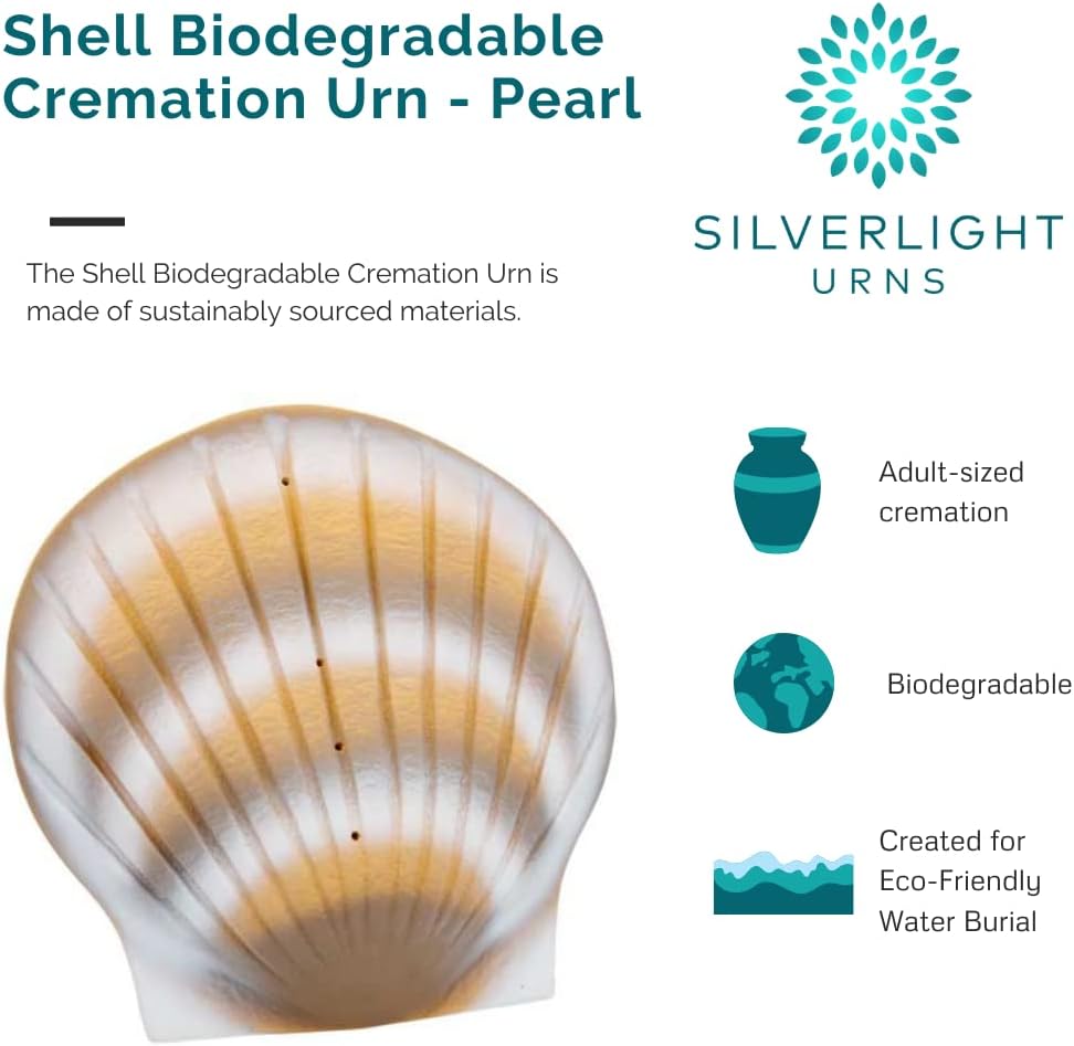 Shell Biodegradable Urn by Passages International, Eco Urn for Ashes, Recycled Paper & Clay, Extra Large Urn Sea Burial