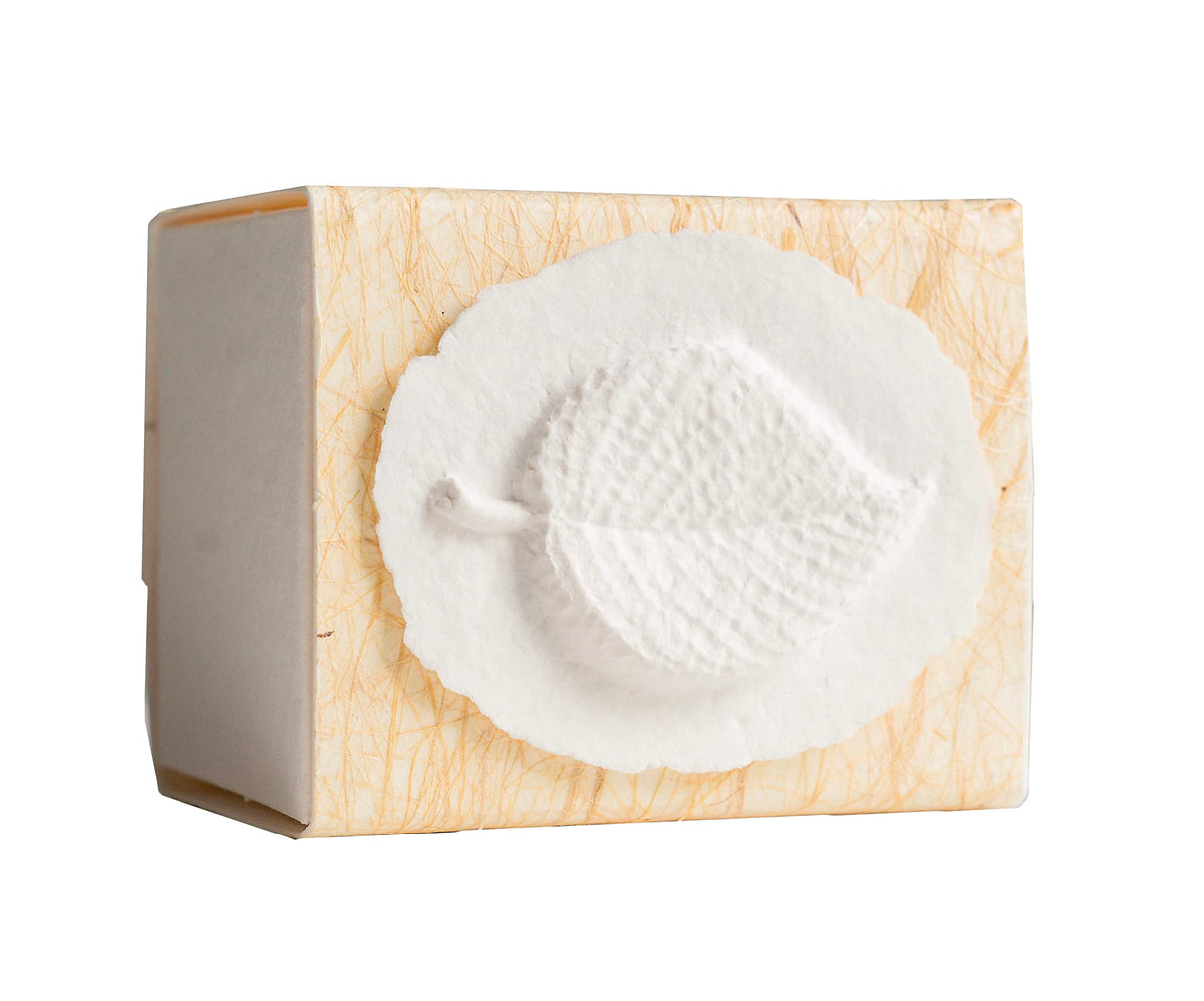 Favorite Place Biodegradable Shell Urn (Large), Eco-Friendly for Cremation or Water Burial (Metallic White K-103)