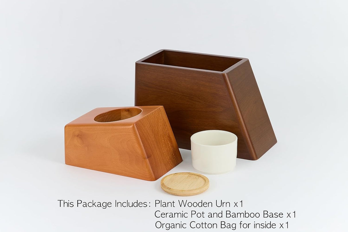 AspenStudio Plant Urn for Adult Human Ashes Cremation Wooden Urn by Aspen Studio