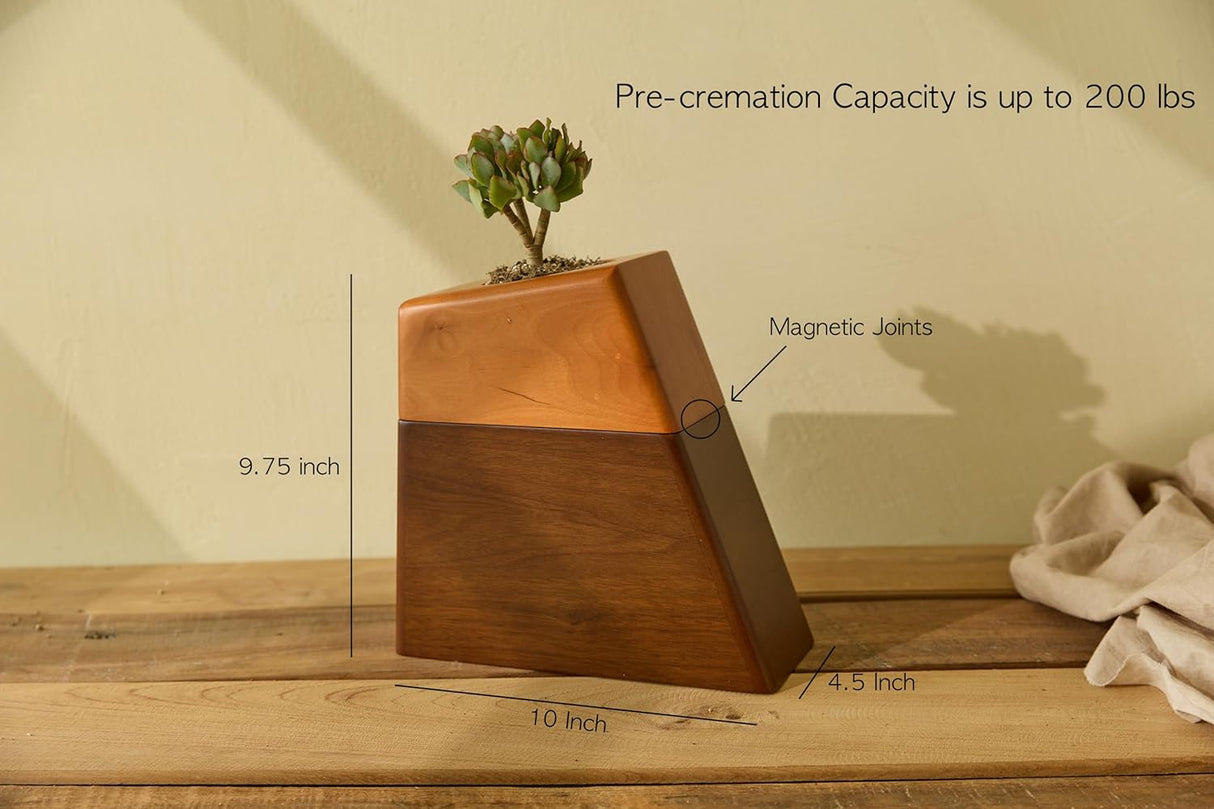 AspenStudio Plant Urn for Adult Human Ashes Cremation Wooden Urn by Aspen Studio