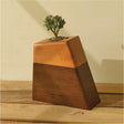 AspenStudio Plant Urn for Adult Human Ashes Cremation Wooden Urn by Aspen Studio