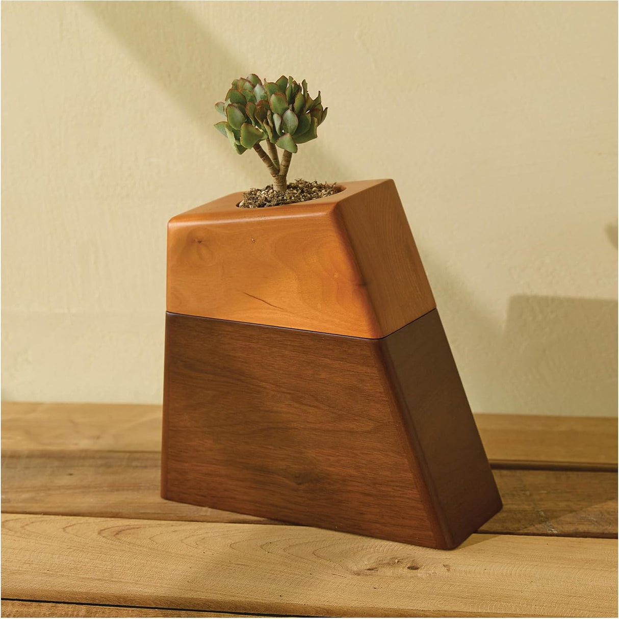 AspenStudio Plant Urn for Adult Human Ashes Cremation Wooden Urn by Aspen Studio