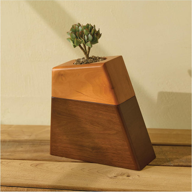 AspenStudio Plant Urn for Adult Human Ashes Cremation Wooden Urn by Aspen Studio