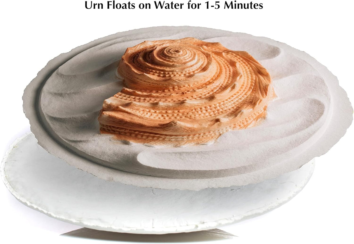 Biodegradable Urn for Scattering Cremated Ashes in Ocean Water, Ground or Sea Burial, Earth Friendly Eco Urn for Human Ashes (Oceanside Shell Coral Floating Urn)