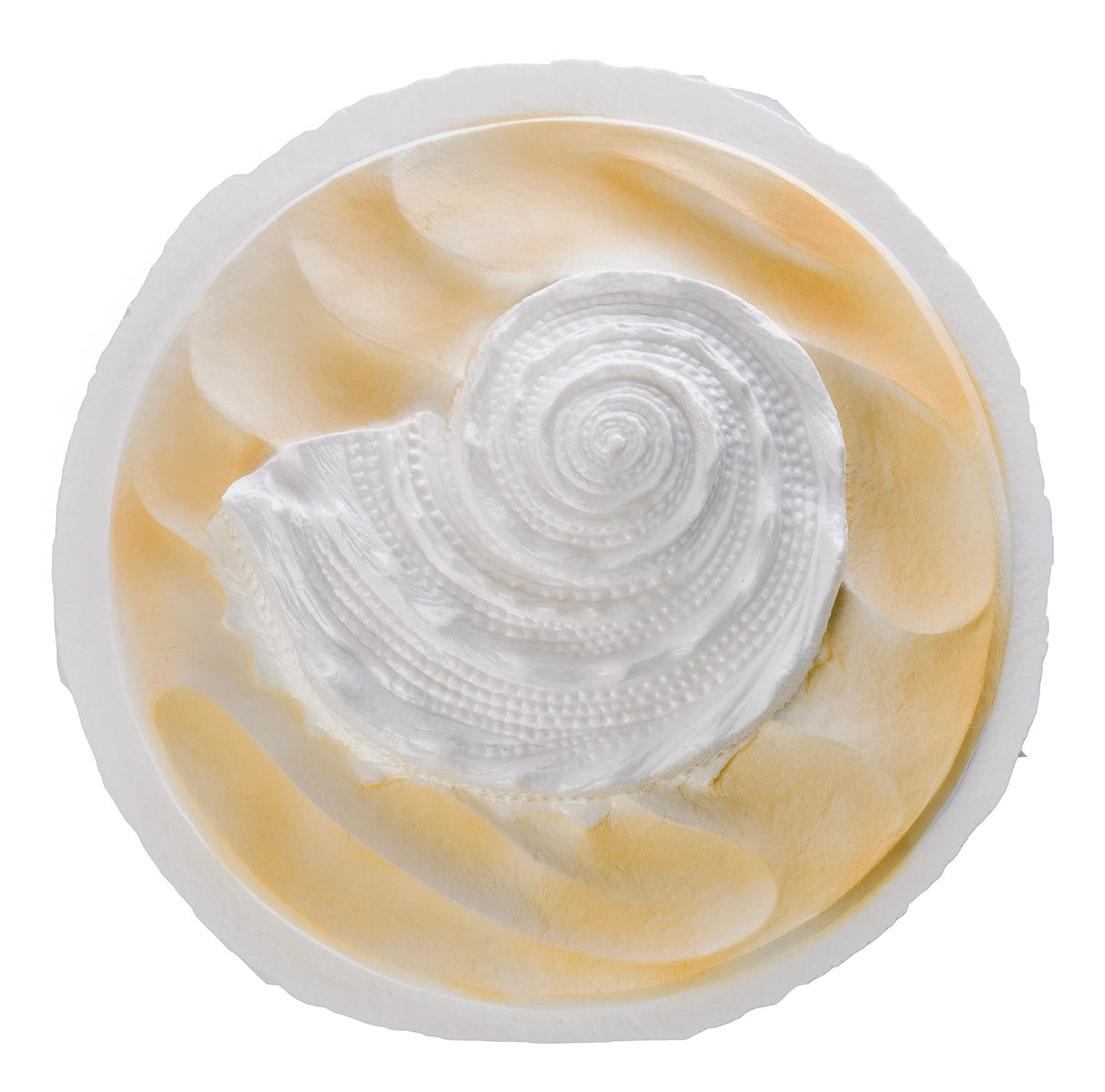 Biodegradable Urn for Scattering Cremated Ashes in Ocean Water, Ground or Sea Burial, Earth Friendly Eco Urn for Human Ashes (Oceanside Shell Coral Floating Urn)