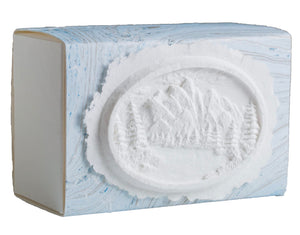 Favorite Place Biodegradable Shell Urn (Large), Eco-Friendly for Cremation or Water Burial (Metallic White K-103)