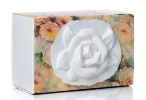 Favorite Place Biodegradable Shell Urn (Large), Eco-Friendly for Cremation or Water Burial (Metallic White K-103)