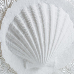 Favorite Place Biodegradable Shell Urn (Large), Eco-Friendly for Cremation or Water Burial (Metallic White K-103)