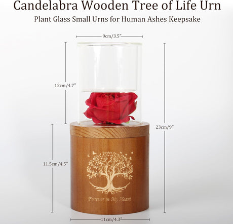 Plant Urn Wooden Tree of Life Urns with Candelabra Or Glass Planter,Small Urns for Human Ashes Keepsake,Memorial Keepsake Urn for Human Ashes,Small Cremation Earn for Adult Male Female