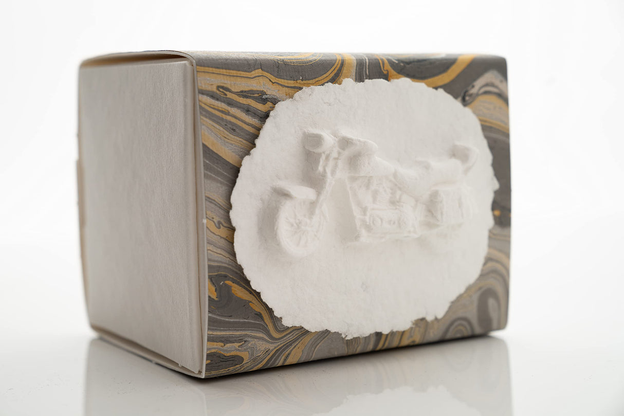 Favorite Place Biodegradable Shell Urn (Large), Eco-Friendly for Cremation or Water Burial (Metallic White K-103)