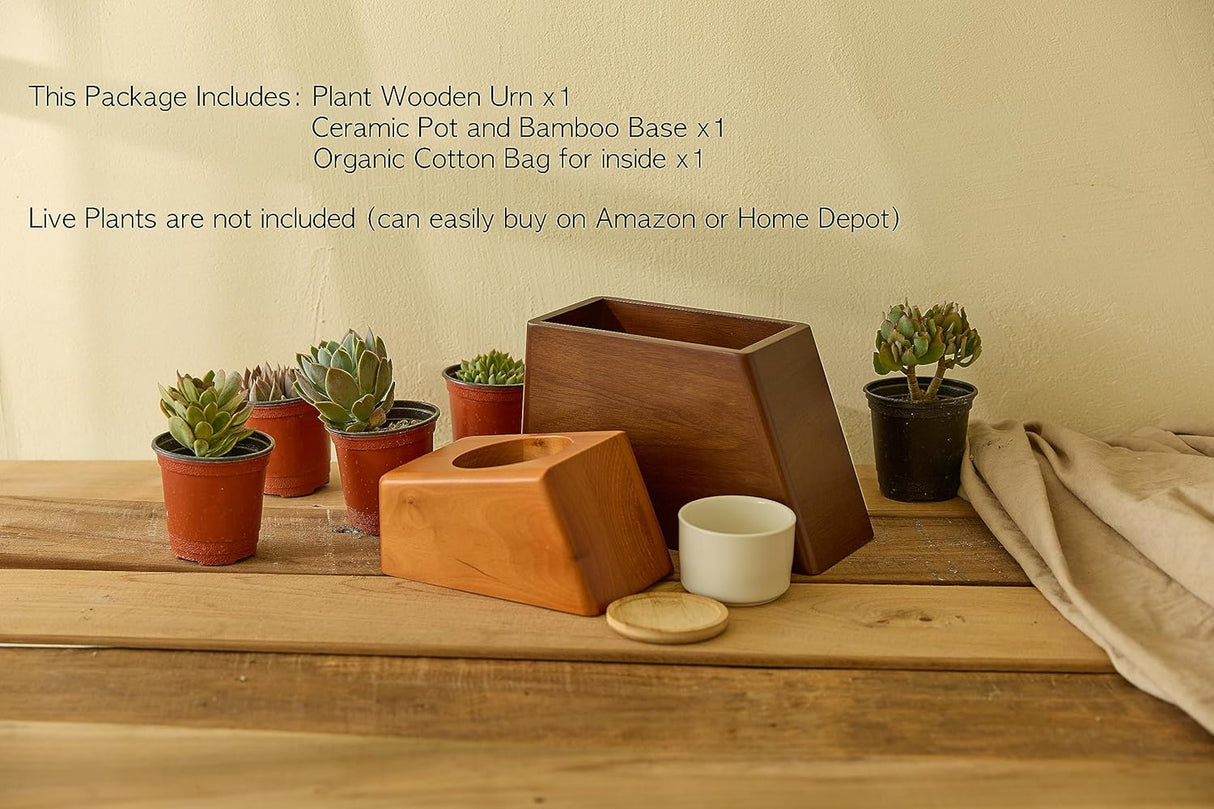 AspenStudio Plant Urn for Adult Human Ashes Cremation Wooden Urn by Aspen Studio