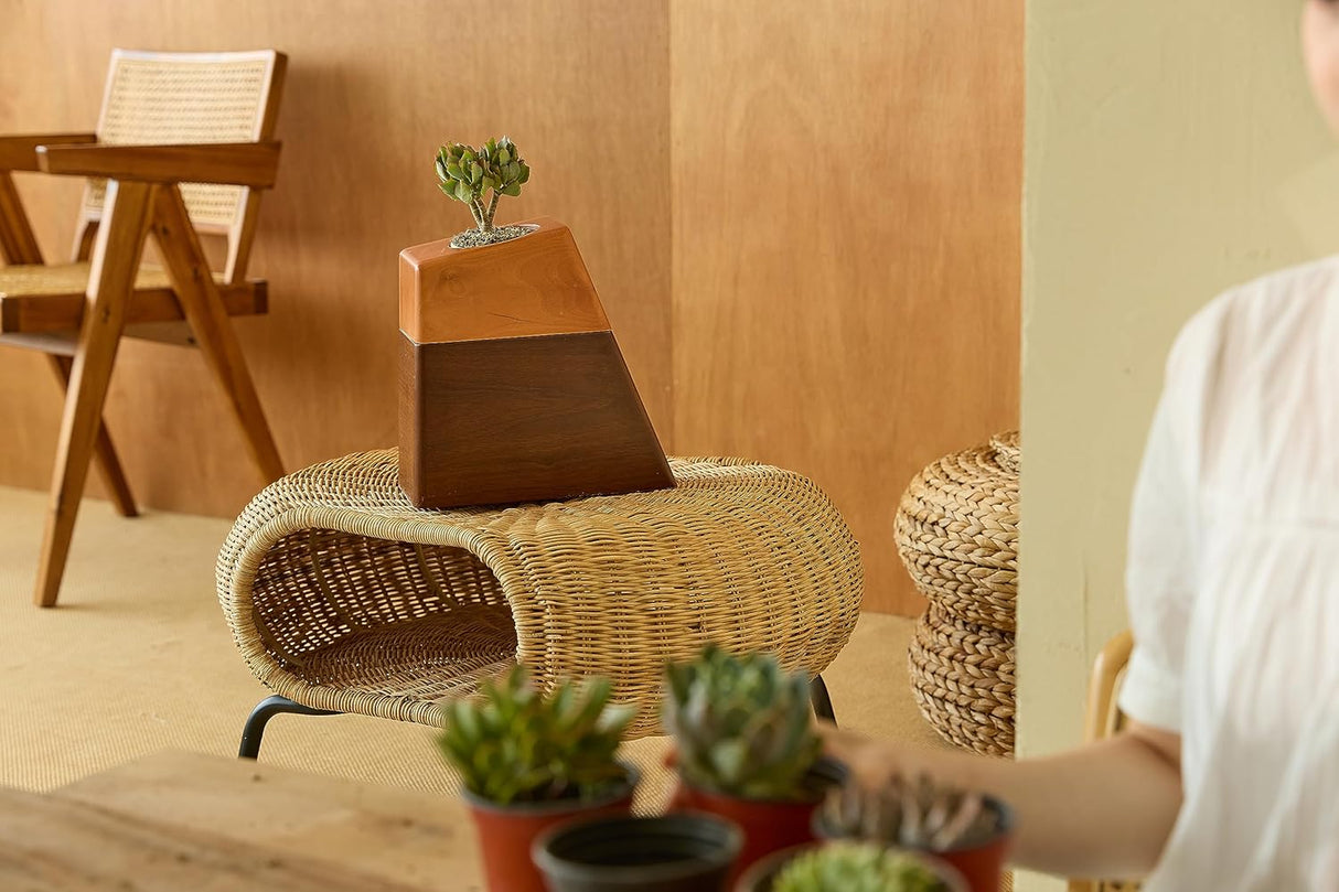 AspenStudio Plant Urn for Adult Human Ashes Cremation Wooden Urn by Aspen Studio