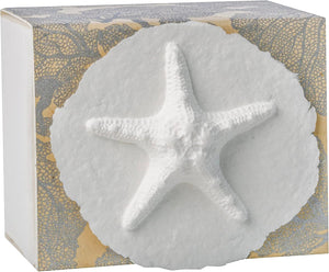 The Favorite Place Biodegradable Urn for Human Ashes, Small Starfish Urn Box with Silver Coral